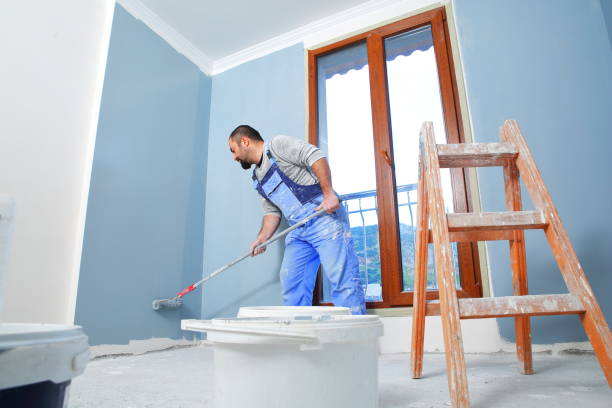 Best Mold Documentation for Insurance Claims  in Abram, TX