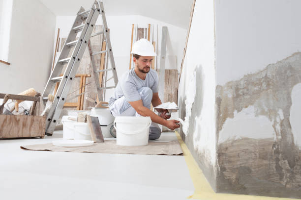 Best Mold Removal for HVAC Installations  in Abram, TX