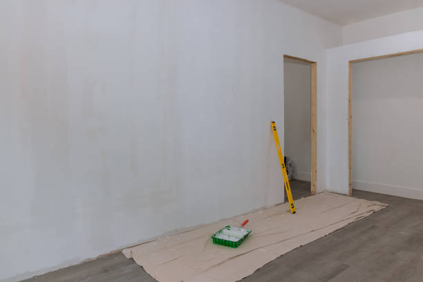 Best Emergency Mold Remediation  in Abram, TX