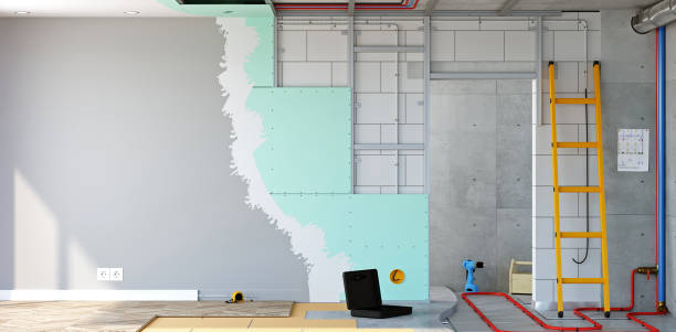 Best Airborne Mold Testing  in Abram, TX