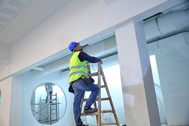 Best Comprehensive Air Testing for Mold Contaminants  in Abram, TX