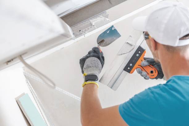 Best Mold Removal for HVAC Installations  in Abram, TX